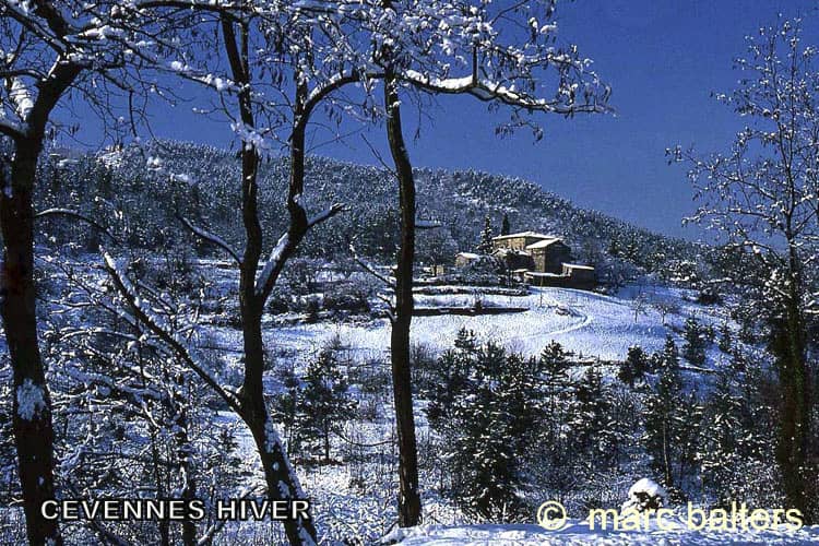 cevennes hiver